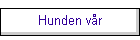 Hunden vr