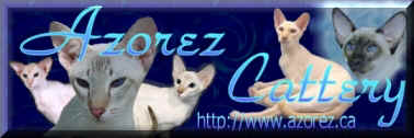 Azorez Cattery